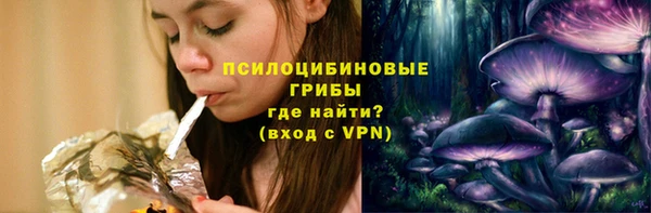 крисы Абдулино