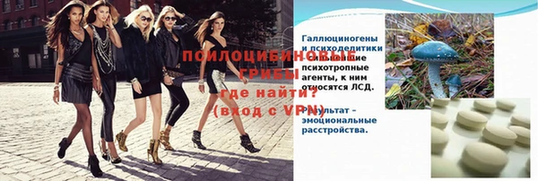 крисы Абдулино